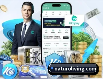 星空体育官方网页版 APP 深度功能